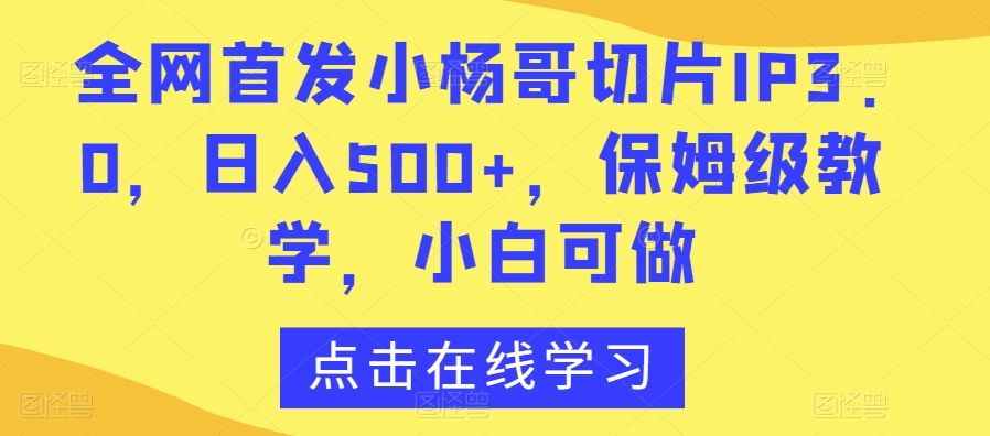 全网首发小杨哥切片IP3.0，日入500+，保姆级教学，小白可做【揭秘】-林文副业站