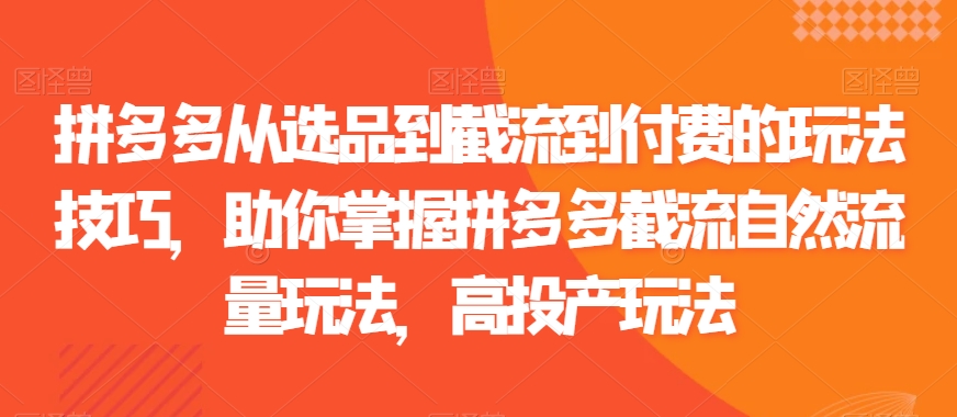 拼多多从选品到截流到付费的玩法技巧，助你掌握拼多多截流自然流量玩法，高投产玩法-林文副业站