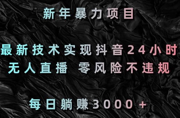 新年暴力项目，最新技术实现抖音24小时无人直播，零风险不违规，每日躺赚3000＋【揭秘】-林文副业站