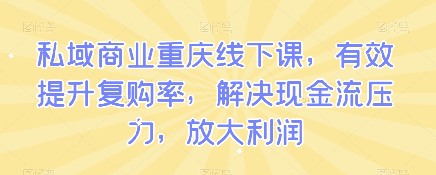 私域商业重庆线下课，有效提升复购率，解决现金流压力，放大利润-林文副业站