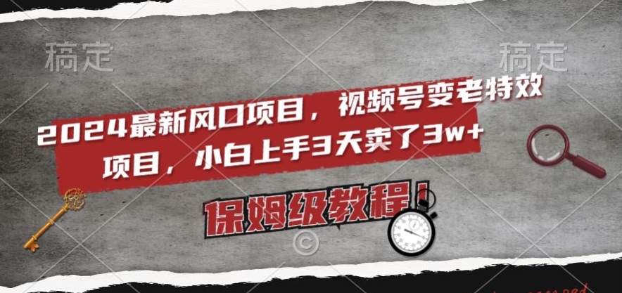 2024最新风口项目，视频号变老特效项目，电脑小白上手3天卖了3w+，保姆级教程【揭秘】-林文副业站