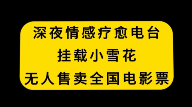 深夜情感疗愈电台，挂载小雪花，无人售卖全国电影票【揭秘】-林文副业站