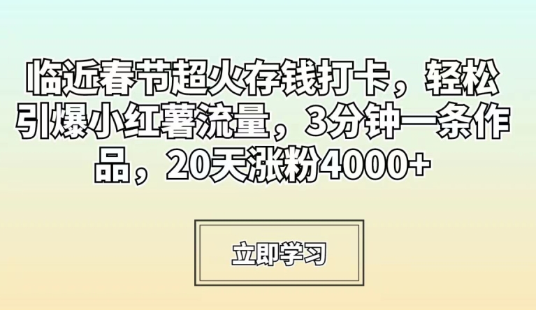 临近春节超火存钱打卡，轻松引爆小红薯流量，3分钟一条作品，20天涨粉4000+【揭秘】-林文副业站