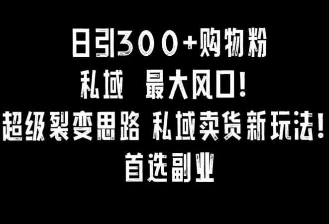 日引300+购物粉，超级裂变思路，私域卖货新玩法，小红书首选副业【揭秘】-林文副业站