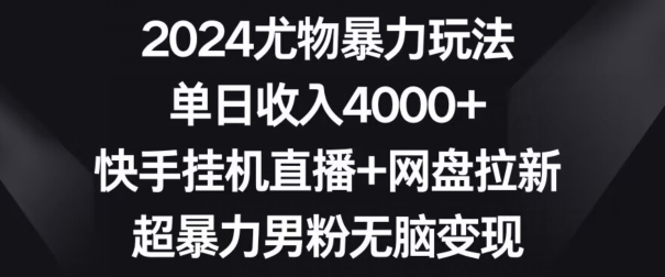 2024尤物暴力玩法，单日收入4000+，快手挂机直播+网盘拉新，超暴力男粉无脑变现【揭秘】-林文副业站