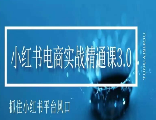 小红书电商实战精通课3.0，抓住小红书平台的风口，不错过有一个赚钱的机会-林文副业站