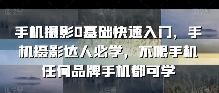 手机摄影0基础快速入门，手机摄影达人必学，不限手机任何品牌手机都可学-林文副业站