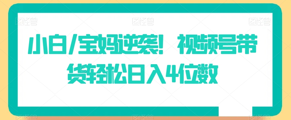 小白/宝妈逆袭！视频号带货轻松日入4位数【揭秘】-林文副业站