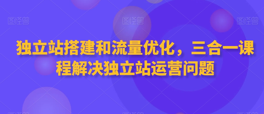 独立站搭建和流量优化，三合一课程解决独立站运营问题-林文副业站