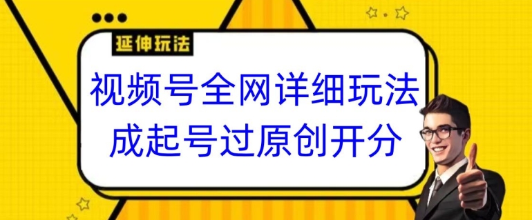 视频号全网最详细玩法，起号过原创开分成，单号日入300+【揭秘】-林文副业站