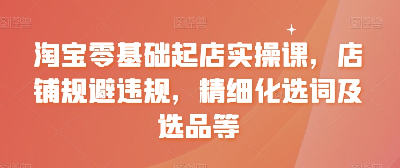 淘宝零基础起店实操课，店铺规避违规，精细化选词及选品等-林文副业站