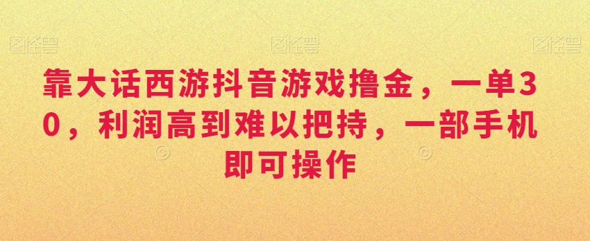 靠大话西游抖音游戏撸金，一单30，利润高到难以把持，一部手机即可操作，日入3000+【揭秘】-林文副业站
