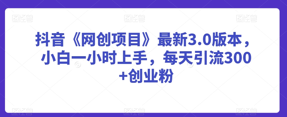 抖音《网创项目》最新3.0版本，小白一小时上手，每天引流300+创业粉【揭秘】-林文副业站