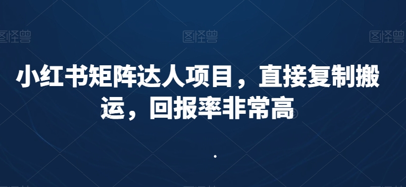 小红书矩阵达人项目，直接复制搬运，回报率非常高-林文副业站