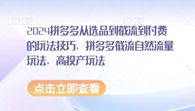 2024拼多多从选品到截流到付费的玩法技巧，拼多多截流自然流量玩法，高投产玩法-林文副业站