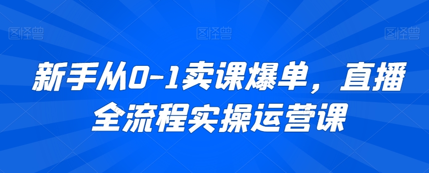 新手从0-1卖课爆单，直播全流程实操运营课-林文副业站