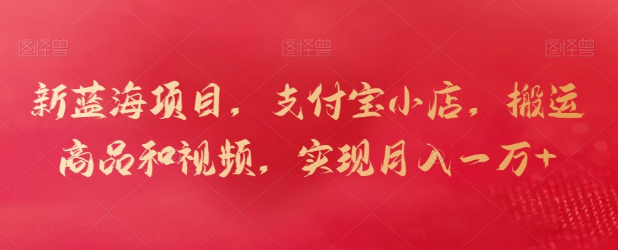 新蓝海项目，支付宝小店，搬运商品和视频，实现月入一万+【揭秘】-林文副业站