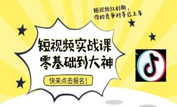 短视频零基础落地实操训练营，短视频实战课零基础到大神-林文副业站