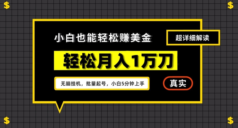 谷歌看广告撸美金2.0，无脑挂机，多号操作，月入1万刀【揭秘】-林文副业站