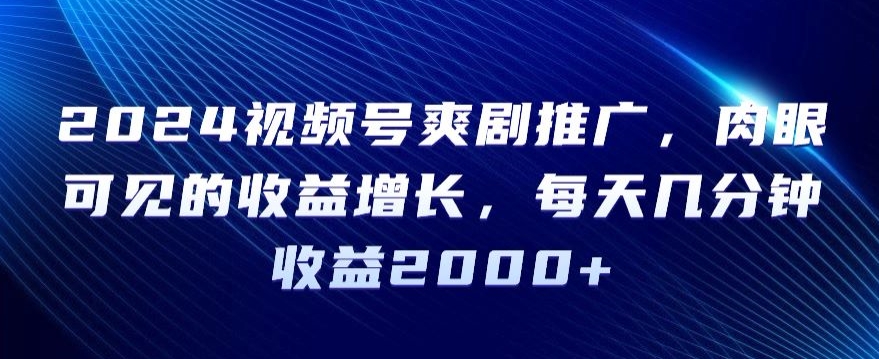 2024视频号爽剧推广，肉眼可见的收益增长，每天几分钟收益2000+【揭秘】-林文副业站