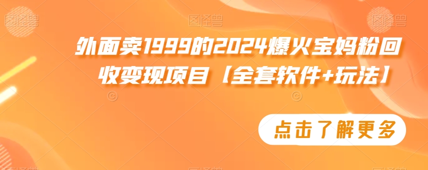 外面卖1999的2024爆火宝妈粉回收变现项目【全套软件+玩法】【揭秘】-林文副业站