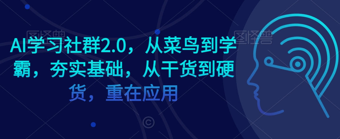 AI学习社群2.0，从菜鸟到学霸，夯实基础，从干货到硬货，重在应用-林文副业站