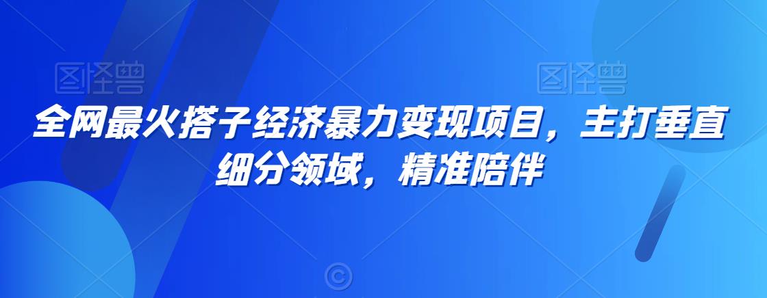 全网最火搭子经济暴力变现项目，主打垂直细分领域，精准陪伴【揭秘】-林文副业站