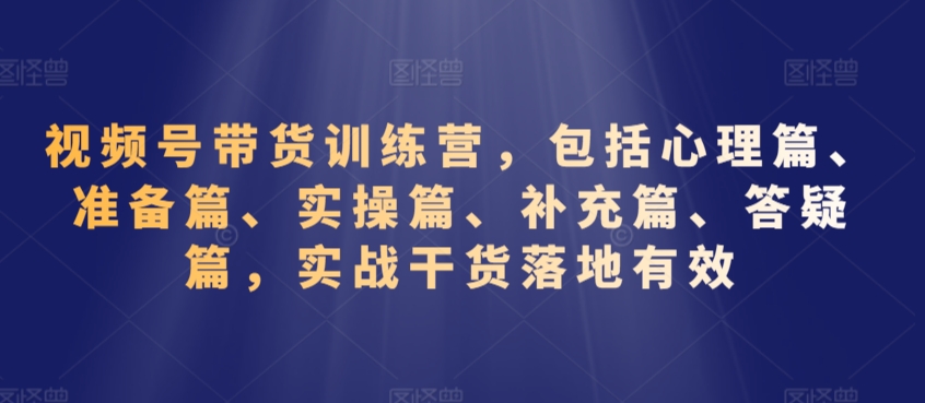 视频号带货训练营，包括心理篇、准备篇、实操篇、补充篇、答疑篇，实战干货落地有效-林文副业站