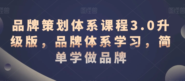品牌策划体系课程3.0升级版，品牌体系学习，简单学做品牌-林文副业站