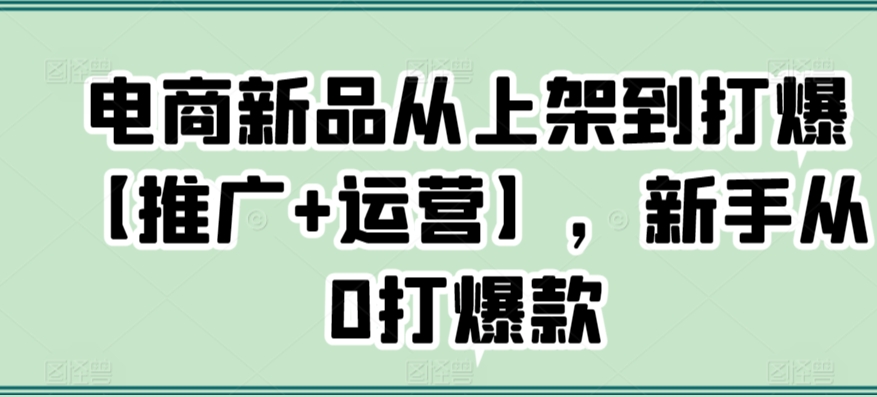 电商新品从上架到打爆【推广+运营】，新手从0打爆款-林文副业站