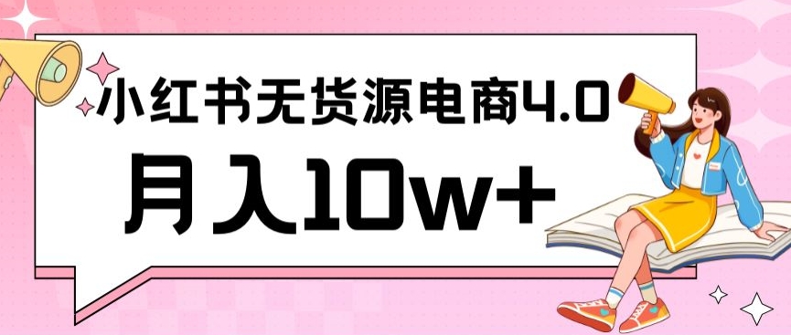 小红书新电商实战，无货源实操从0到1月入10w+联合抖音放大收益【揭秘】-林文副业站