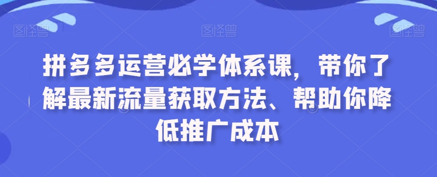 拼多多运营必学体系课，带你了解最新流量获取方法、帮助你降低推广成本-林文副业站