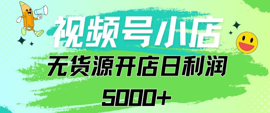 视频号无货源小店从0到1日订单量千单以上纯利润稳稳5000+【揭秘】-林文副业站