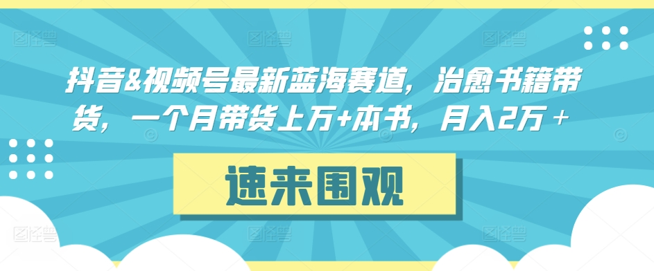抖音&视频号最新蓝海赛道，治愈书籍带货，一个月带货上万+本书，月入2万＋【揭秘】-林文副业站