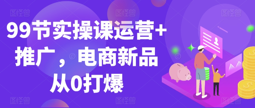 99节实操课运营+推广，电商新品从0打爆-林文副业站