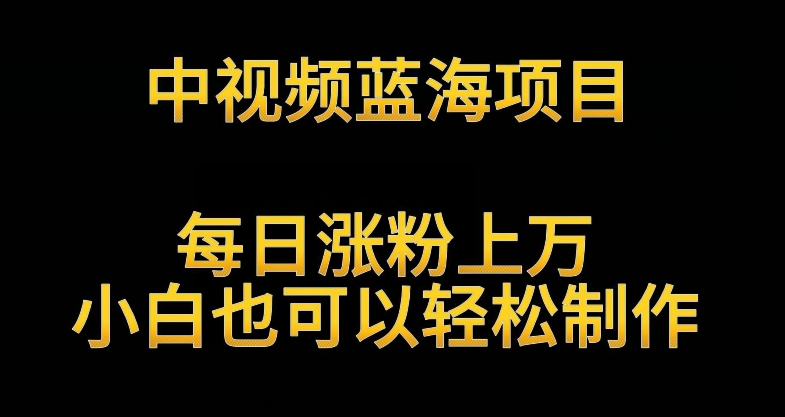 中视频蓝海项目，解读英雄人物生平，每日涨粉上万，小白也可以轻松制作，月入过万不是梦【揭秘】-林文副业站
