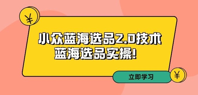 拼多多培训第33期：小众蓝海选品2.0技术-蓝海选品实操！-林文副业站