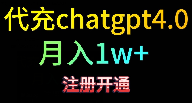 代充chatgpt4，日入500+，精准引流，暴力变现【揭秘】-林文副业站