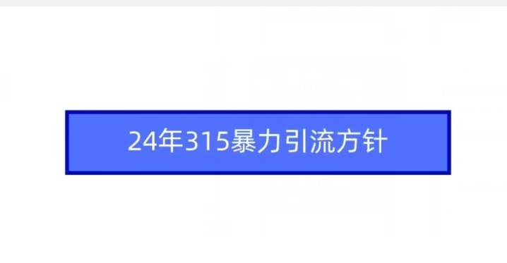 24年315暴力引流方针-林文副业站