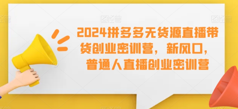 2024拼多多无货源直播带货创业密训营，新风口，普通人直播创业密训营-林文副业站