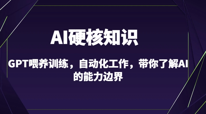 AI硬核知识-GPT喂养训练，自动化工作，带你了解AI的能力边界（10节课）-林文副业站