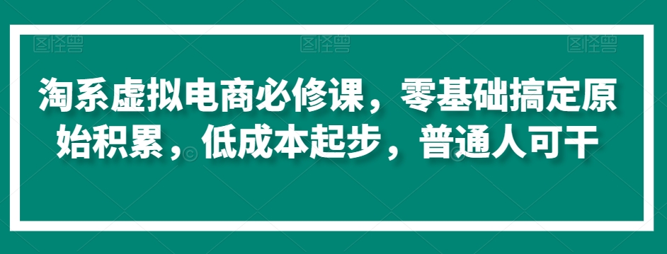 淘系虚拟电商必修课，零基础搞定原始积累，低成本起步，普通人可干-林文副业站