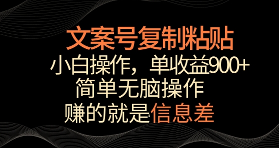 文案号掘金，简单复制粘贴，小白操作，单作品收益900+【揭秘】-林文副业站
