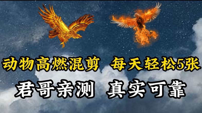 动物超燃混剪，每天轻松5张，剪辑简单大家爱看【揭秘】-林文副业站