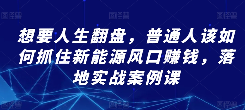 想要人生翻盘，普通人该如何抓住新能源风口赚钱，落地实战案例课-林文副业站