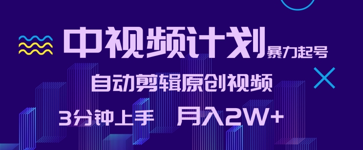 中视频计划暴力起号，自动剪辑原创视频，3分钟上手，月入2W+【揭秘】-林文副业站