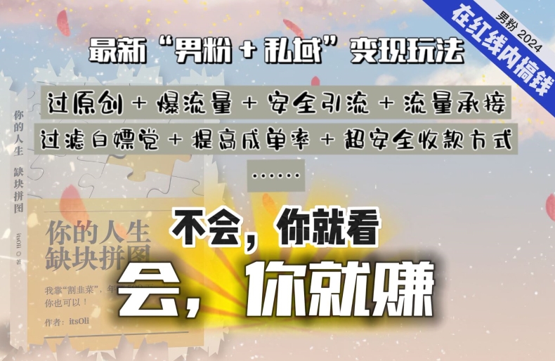 2024，“男粉+私域”还是最耐造、最赚、最轻松、最愉快的变现方式【揭秘】-林文副业站