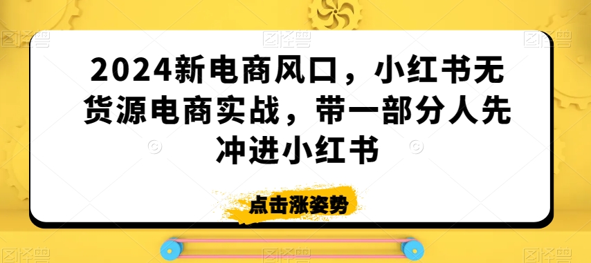 2024新电商风口，小红书无货源电商实战，带一部分人先冲进小红书-林文副业站