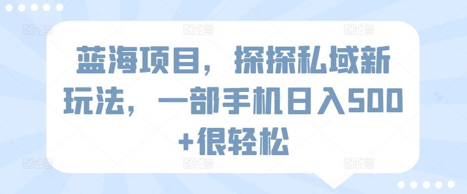 蓝海项目，探探私域新玩法，一部手机日入500+很轻松【揭秘】-林文副业站