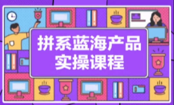 拼系冷门蓝海产品实操课程，从注册店铺到选品上架到流量维护环环相扣-林文副业站